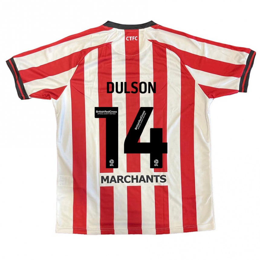 Men Football Liam Dulson #14 Red White Home Jersey 2024/25 T-Shirt Nz